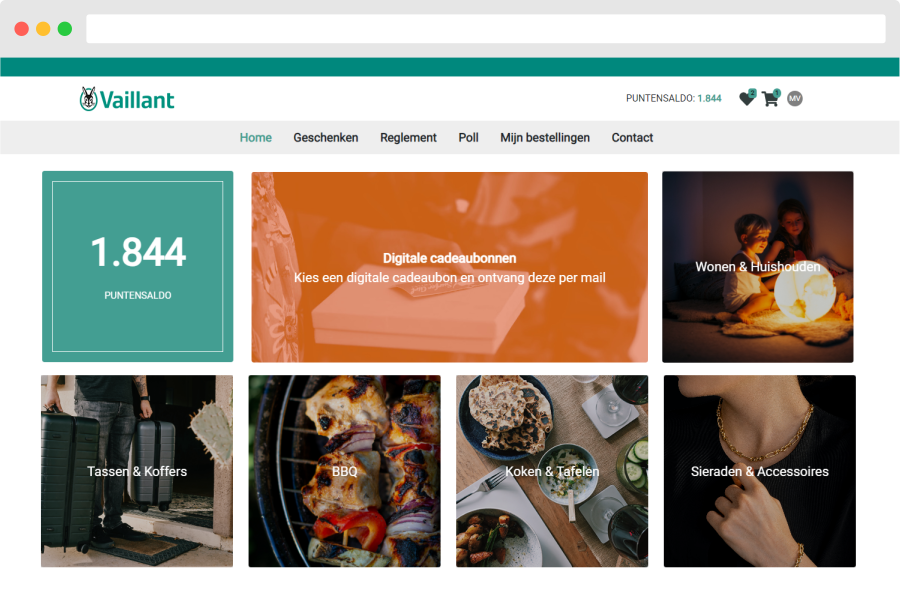 Screenshot of the Vaillant Loyalty Shop